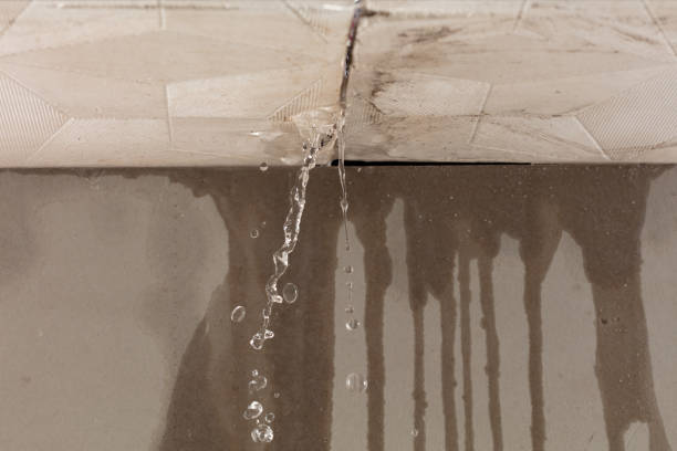 Professional Water Damage Repair technician working in Sanger, TX